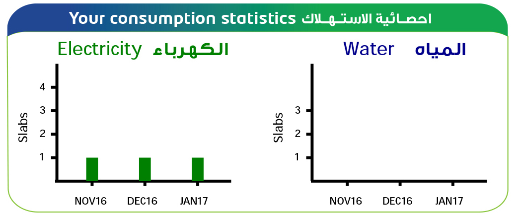Consumption Statistics